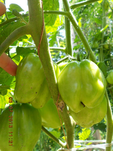 DSCN9668