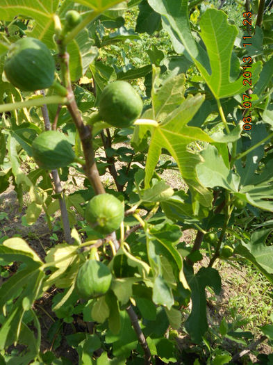DSCN9670