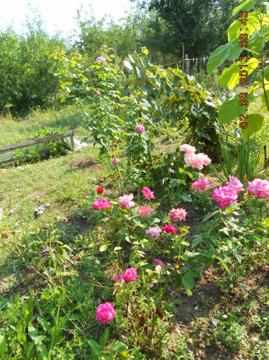 DSCN0167