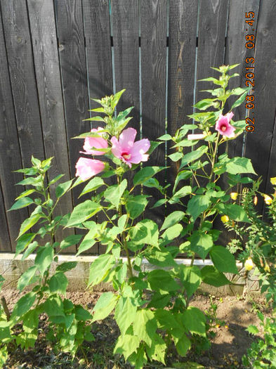 DSCN0180