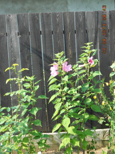 DSCN0186