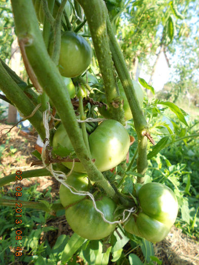 DSCN0194