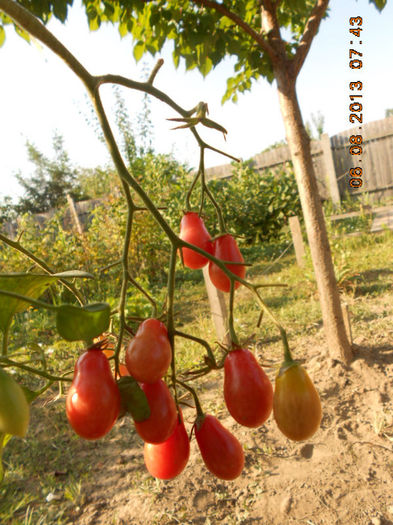 DSCN0265
