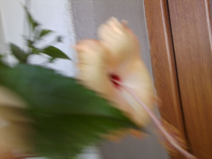 Fotografie5735