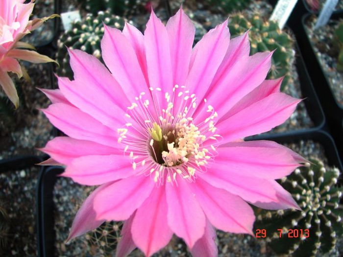 DSC01610