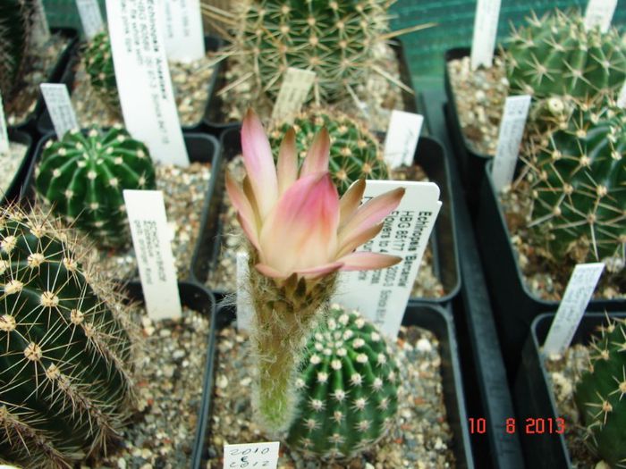 DSC01736