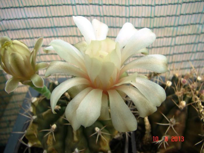 DSC01745