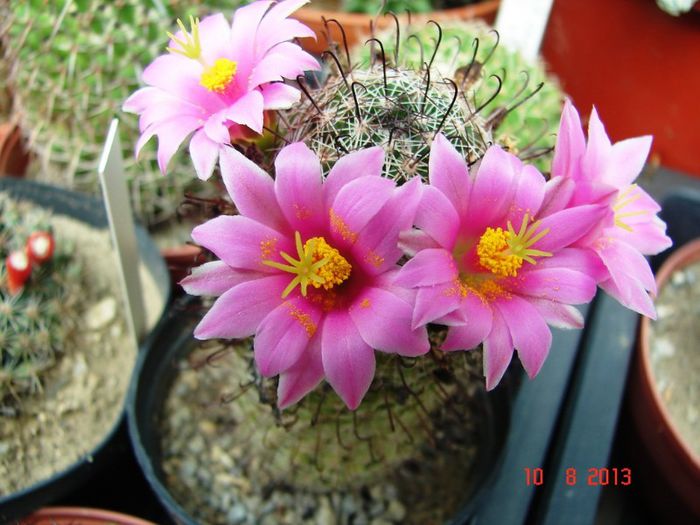 DSC01748