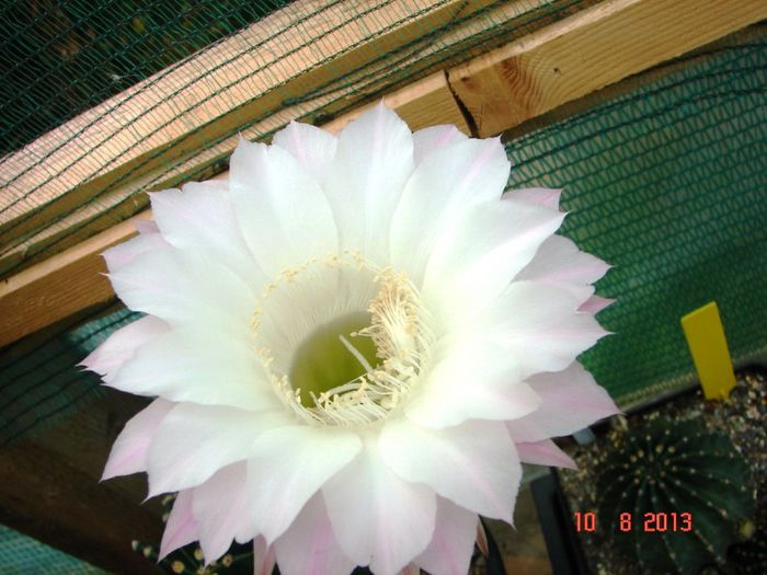 DSC01756