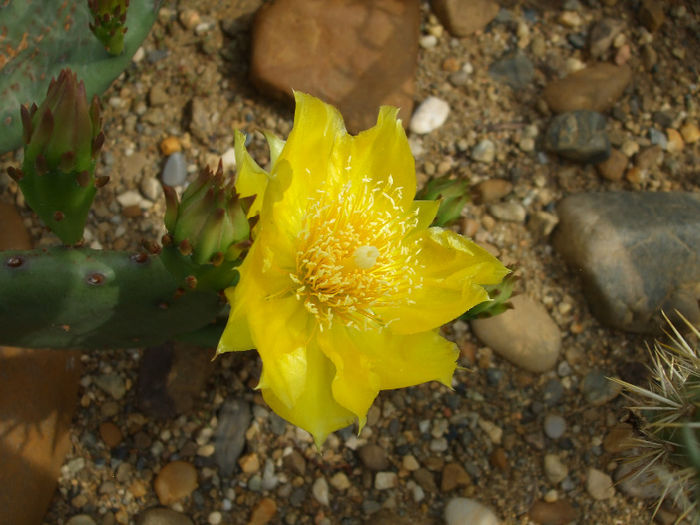 DSCF7119