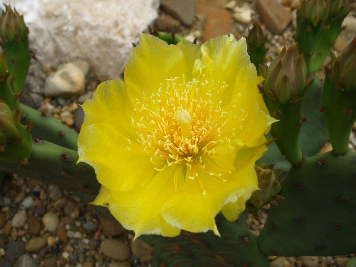 DSCF7125