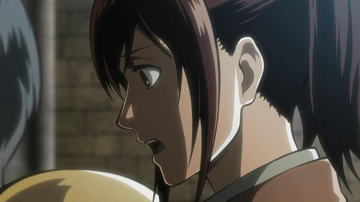 sasha 8