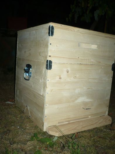 P1060269 - stup vertical 12 rame cu cat1-2