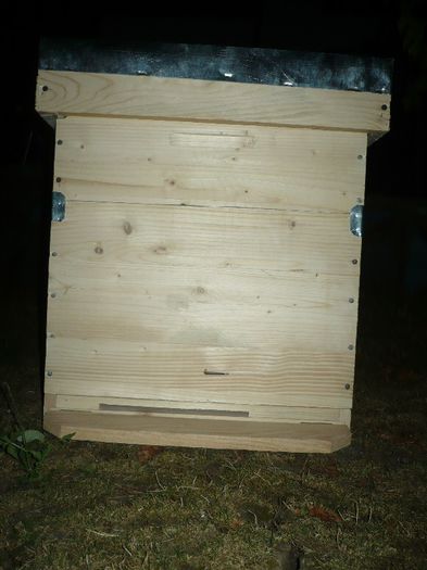 P1060271 - stup vertical 12 rame cu cat1-2