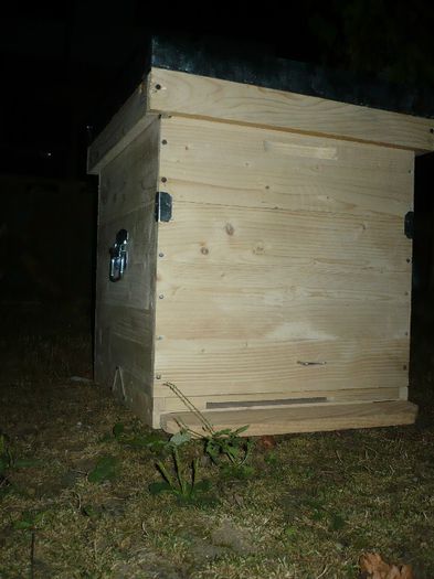 P1060273 - stup vertical 12 rame cu cat1-2