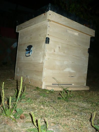 P1060274 - stup vertical 12 rame cu cat1-2