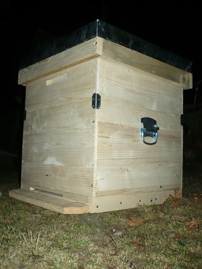 P1060277 - stup vertical 12 rame cu cat1-2