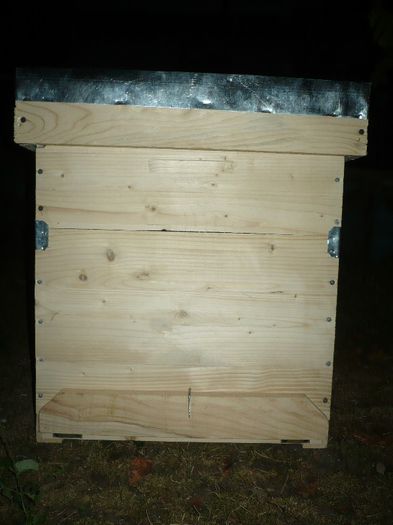 P1060279 - stup vertical 12 rame cu cat1-2