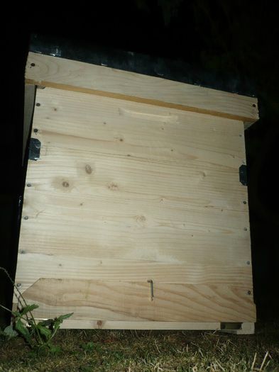 P1060281 - stup vertical 12 rame cu cat1-2