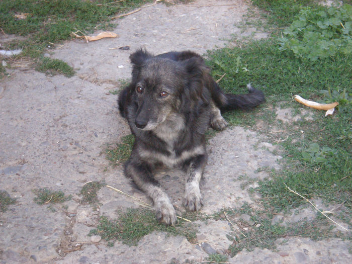 In final...ea e mama lor :-P