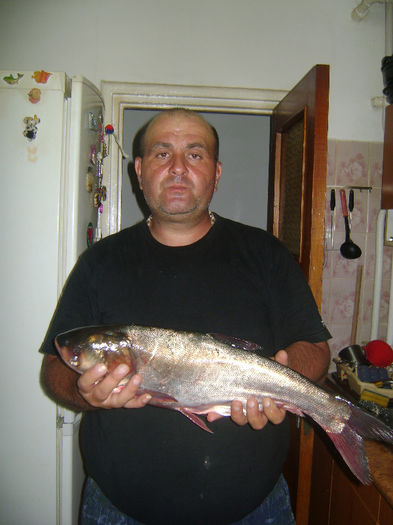12 08 2013 gurbanesti 13,5 kg (1) - la pescuit 2013