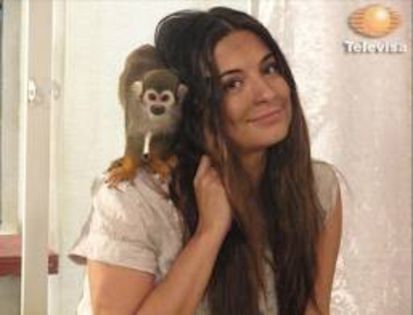 images (94) - Maricruz