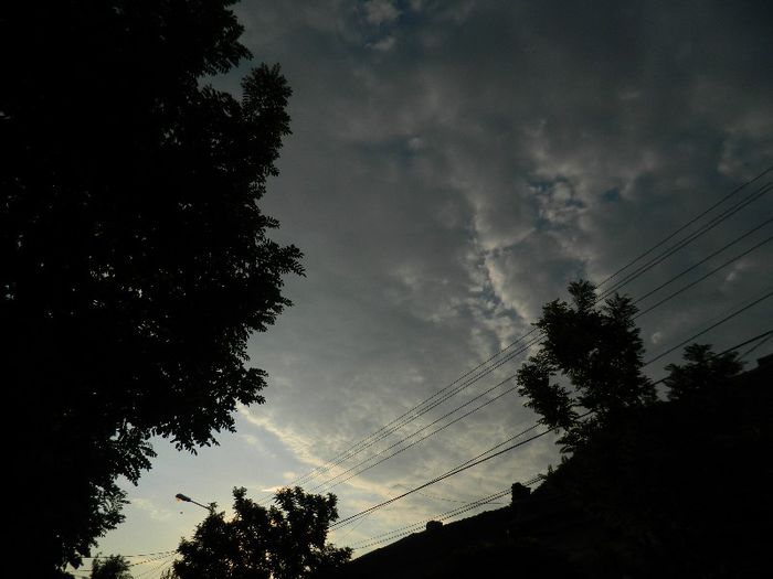 DSCN9572 - AUGUST 2013