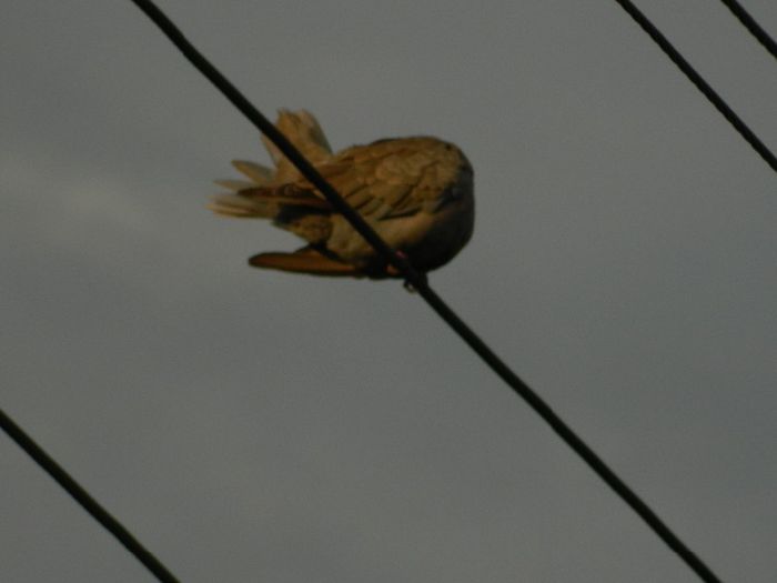 DSCN9575 - AUGUST 2013