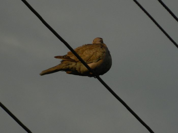 DSCN9576 - AUGUST 2013