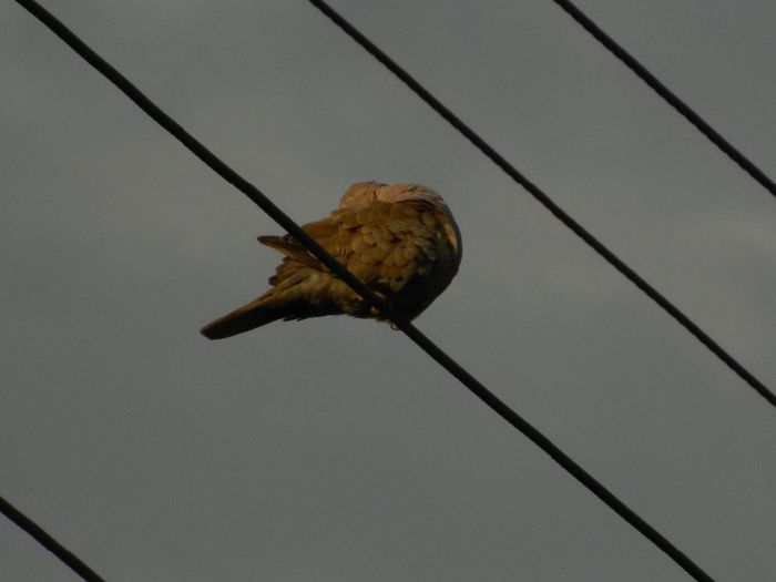 DSCN9580 - AUGUST 2013