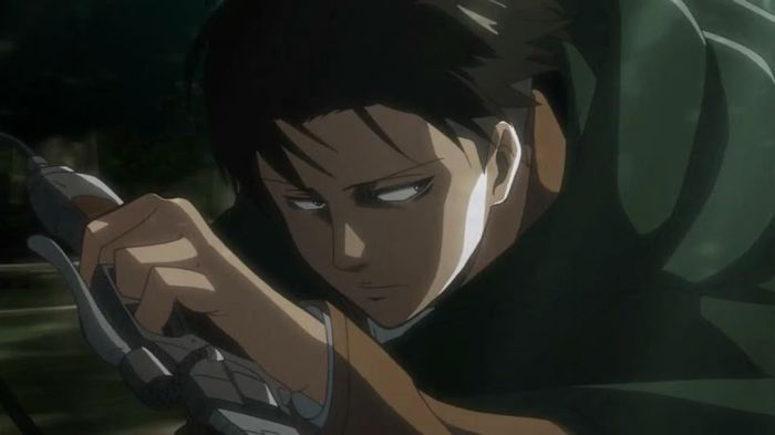 levi 15