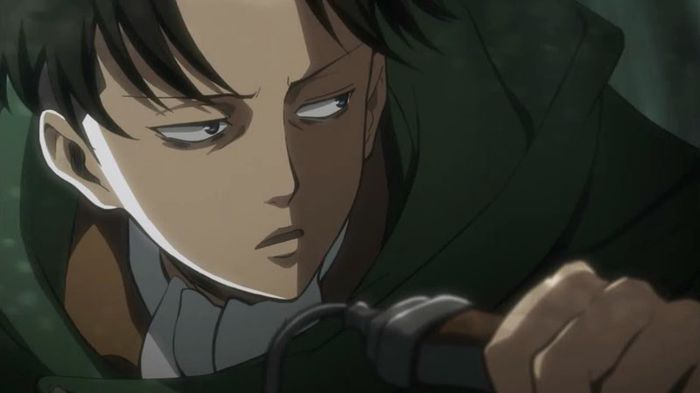 levi 16