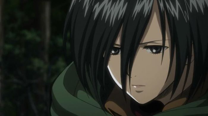 mikasa 51