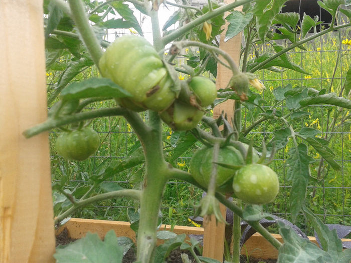 Marmande