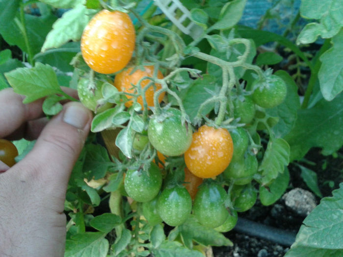20130728_192405