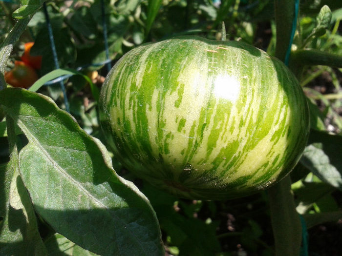 20130715_124940