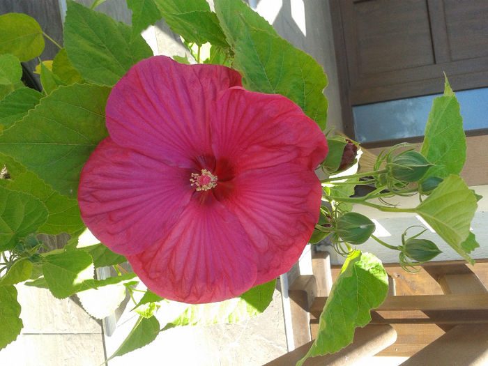 20130804_093834