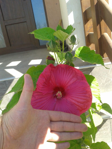 20130804_093842