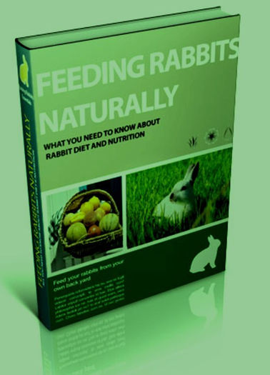 FeedingRabbitsNaturally