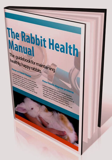 Rabbit Health Manual