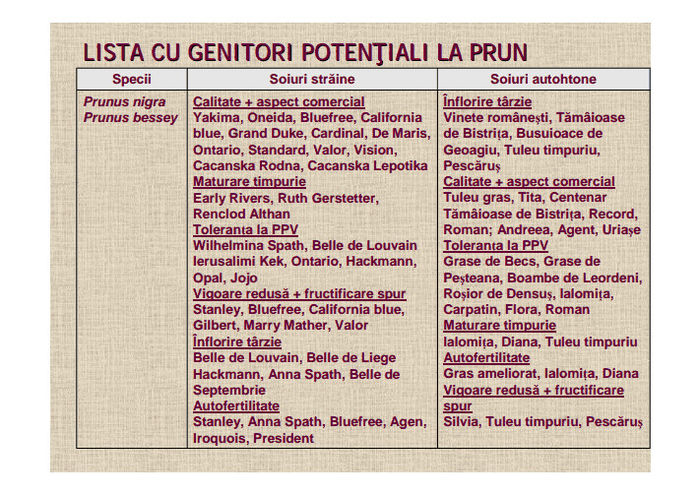 Prun - Soiuri de pomi fructiferi recomandate pentru a fi cultivate si inmultite  in Romania