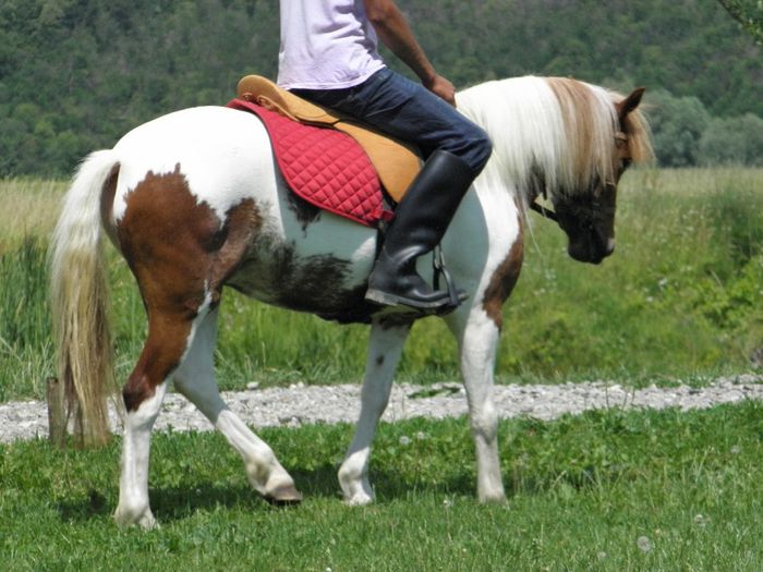 P6198065 - VANZARI PONEI 3