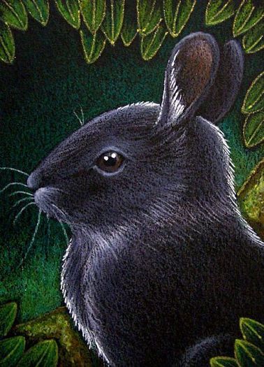 BLACK-BUNNY-RABBIT - Rabbit Art