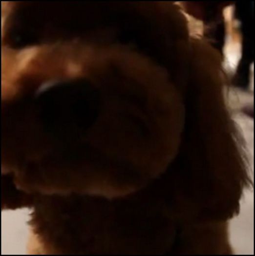 (MG) ..(se uita la ea;latra :3)