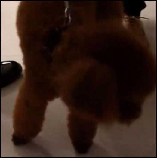 9MG) ..(jucandu`se cu Hwa :3)