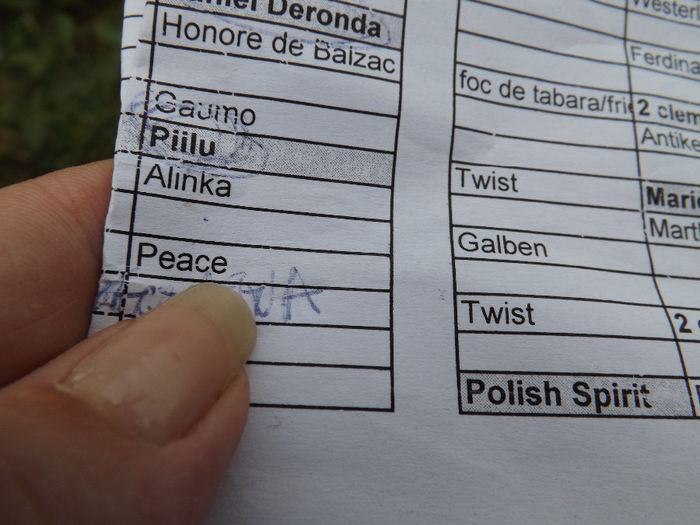 15.08.2013 (174)