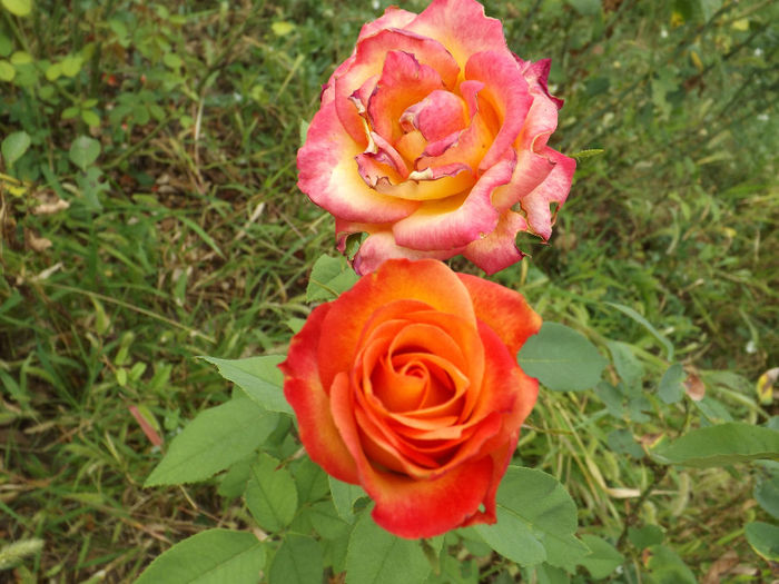 15.08.2013 (175)