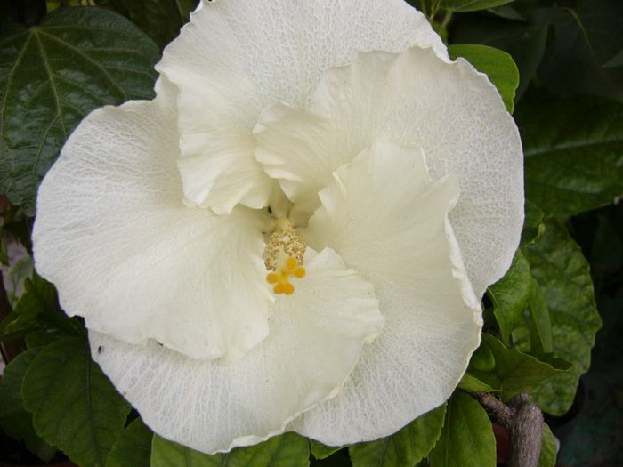 P1190744