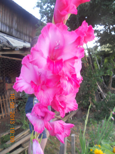 DSCN3939
