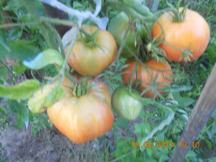 DSCN3943